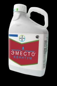 Эместо Квантум