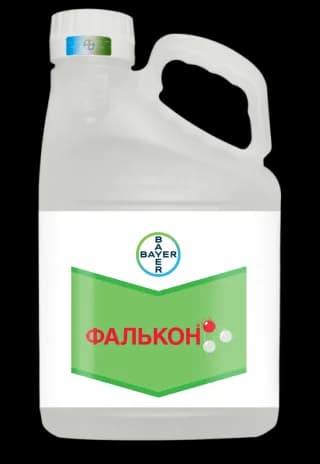 Фалькон