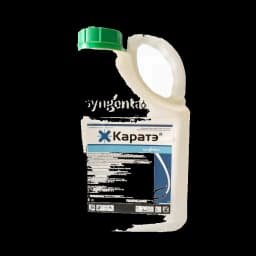 Каратэ